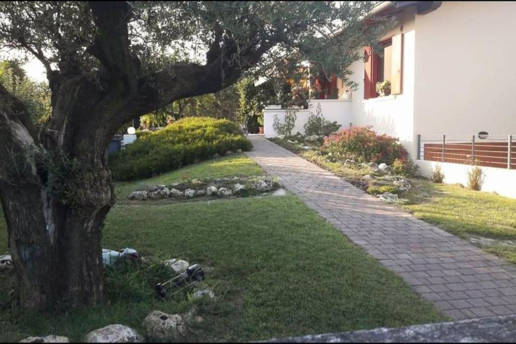 Villa Ama Pordenone Exterior photo