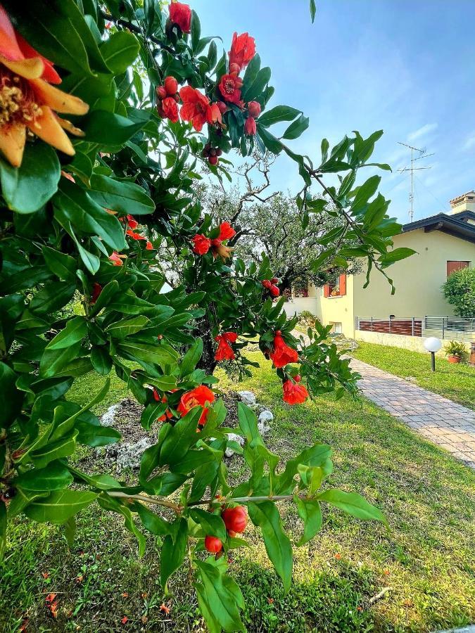 Villa Ama Pordenone Exterior photo